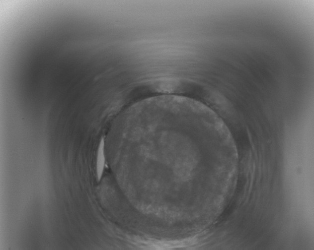 X0000066940031200604142035