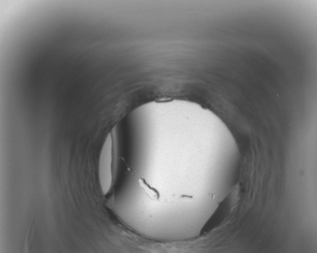 X0000066940033200604142035