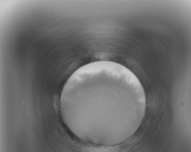 X0000066940036200604142035