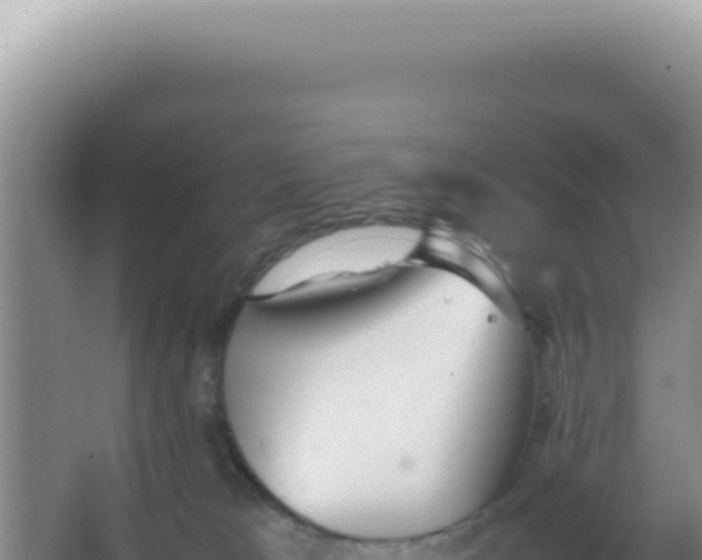 X0000066940037200604142035