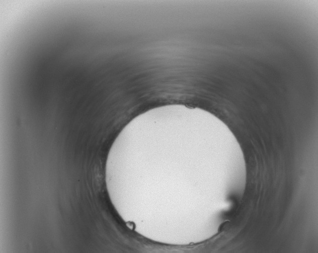 X0000066940040200604142035