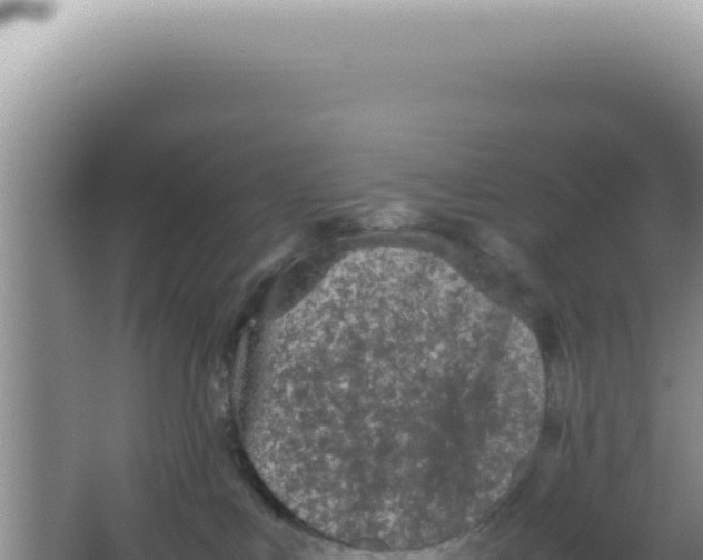 X0000066940043200604142035