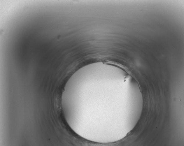 X0000066940044200604142035