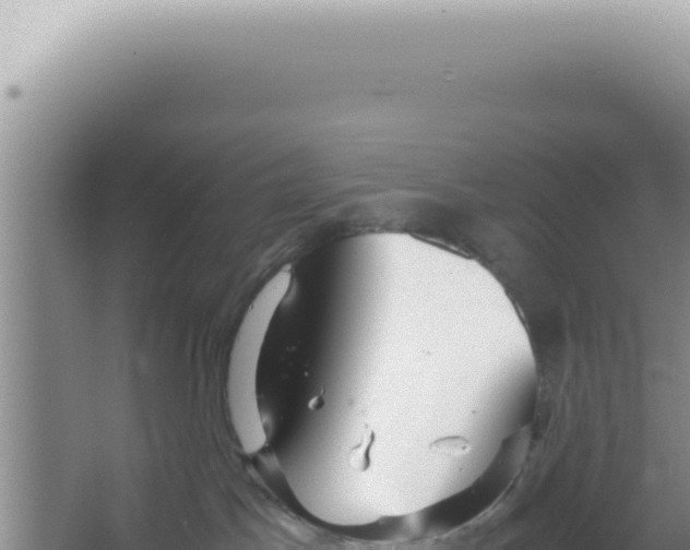 X0000066940045200604142035