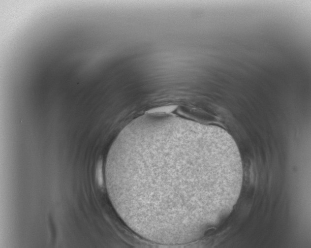 X0000066940046200604142035