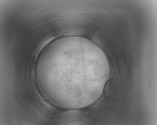 X0000066940050200604142034