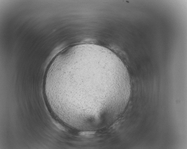 X0000066940051200604142034