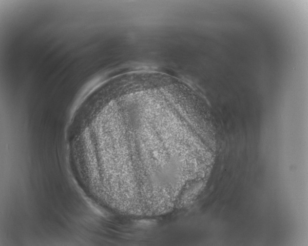 X0000066940053200604142034