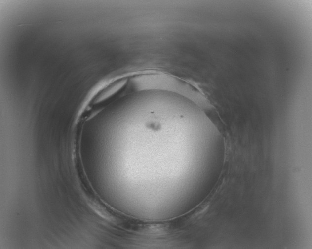 X0000066940056200604142034