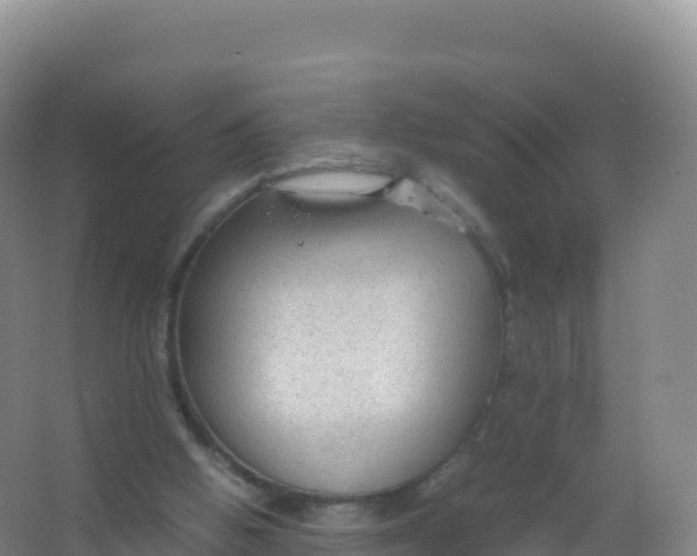 X0000066940058200604142034