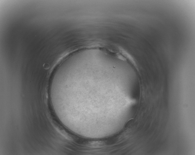 X0000066940059200604142034