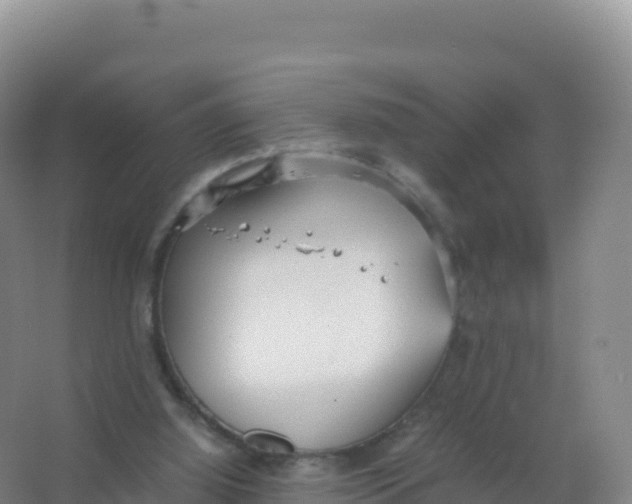 X0000066940060200604142034