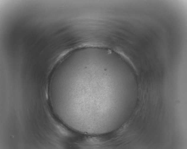 X0000066940062200604142034