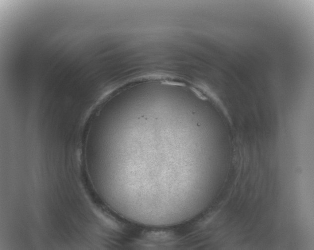 X0000066940063200604142034