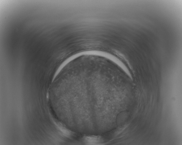 X0000066940069200604142034