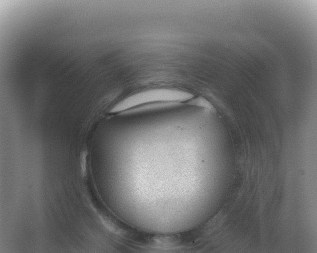 X0000066940070200604142034