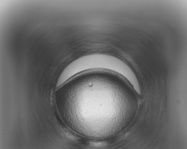 X0000066940073200604142034