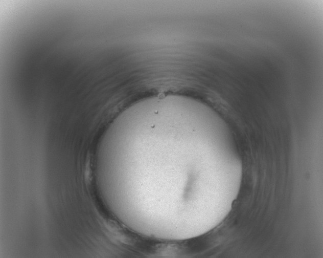 X0000066940074200604142034