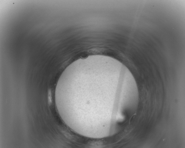 X0000066940075200604142034