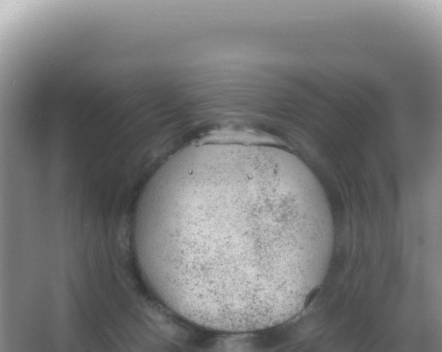 X0000066940078200604142034