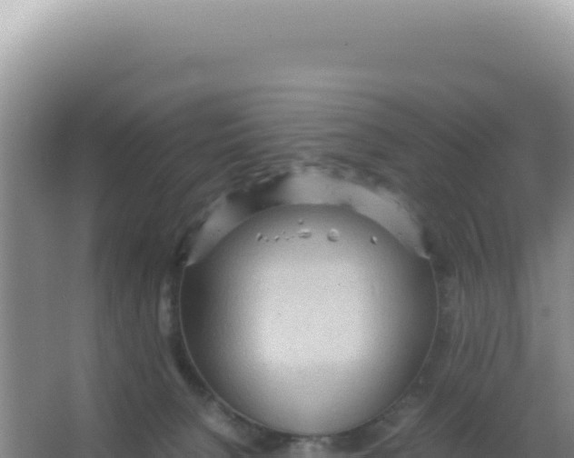 X0000066940080200604142034