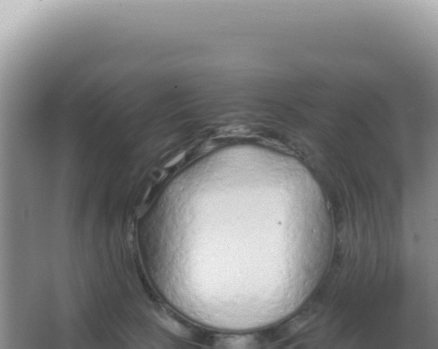 X0000066940081200604142034