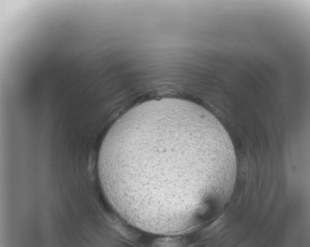 X0000066940082200604142034