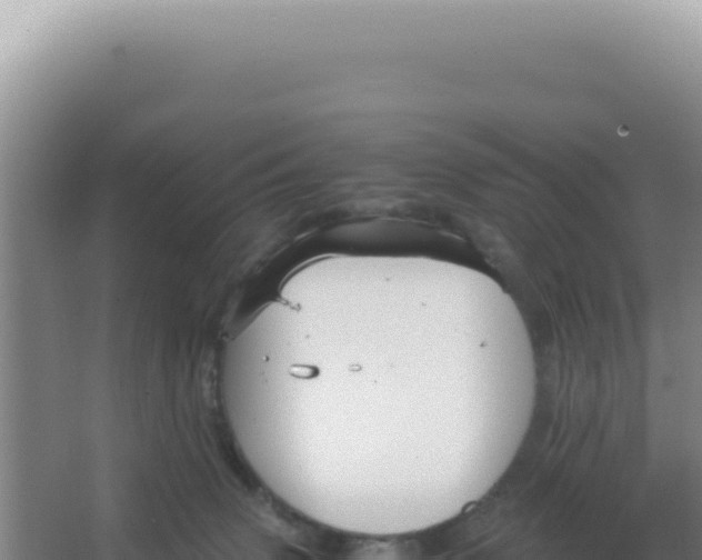 X0000066940083200604142034