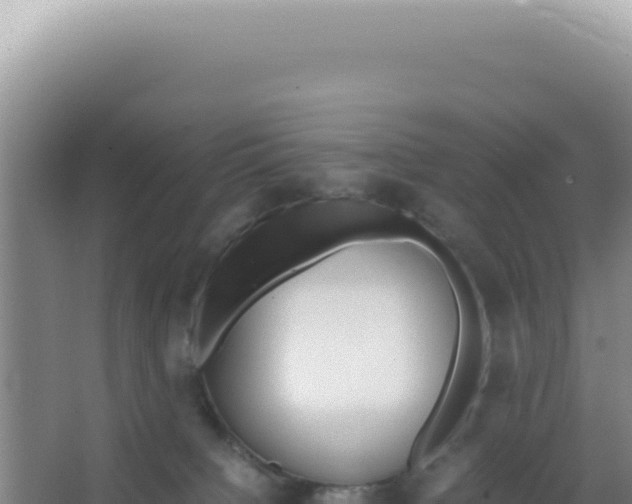 X0000066940084200604142034