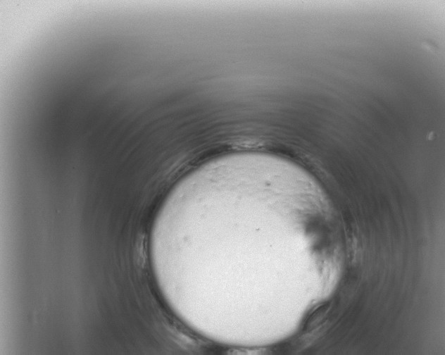 X0000066940093200604142035