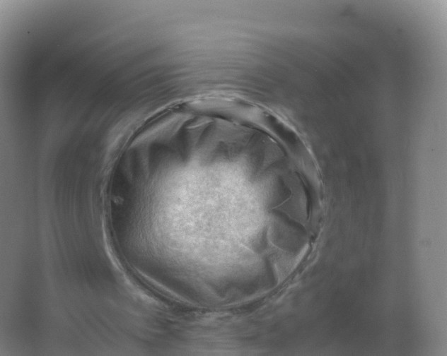 X0000066940097200604142034