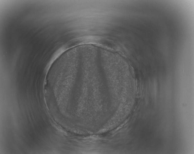 X0000066940099200604142034