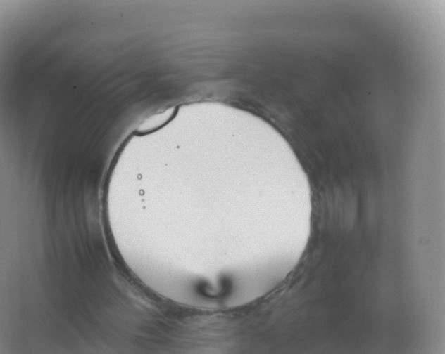 X0000066940100200604142034