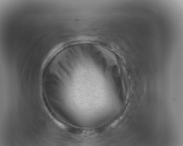 X0000066940101200604142034