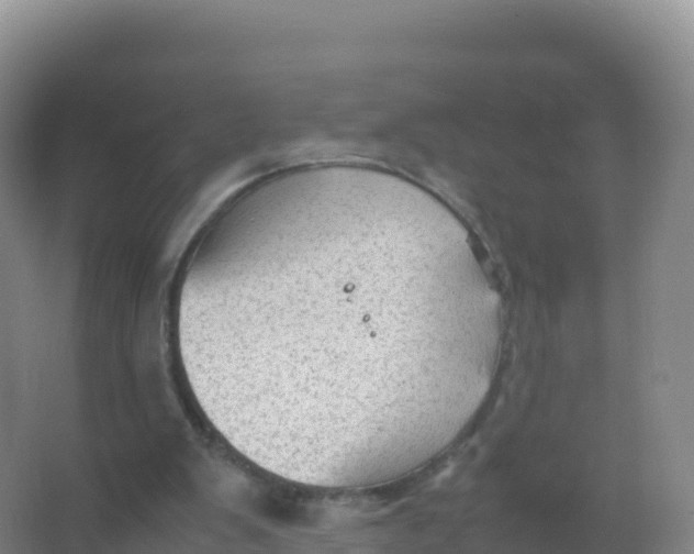 X0000066940103200604142034