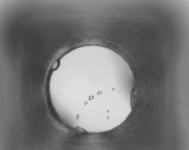 X0000066940104200604142034