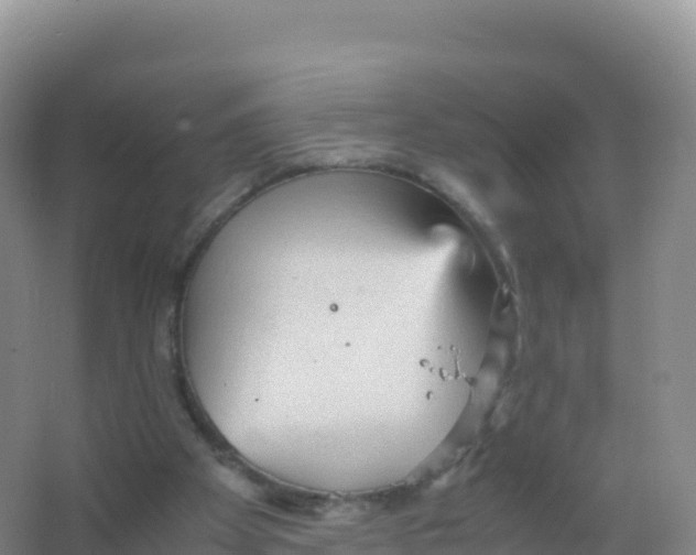 X0000066940105200604142034