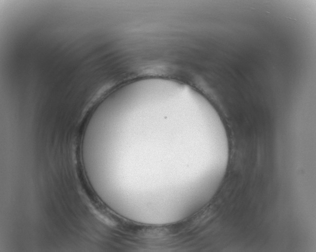 X0000066940106200604142034