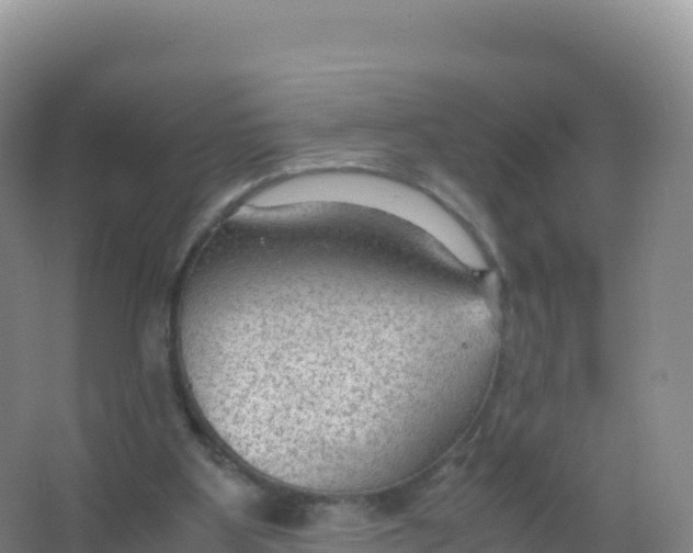 X0000066940107200604142034