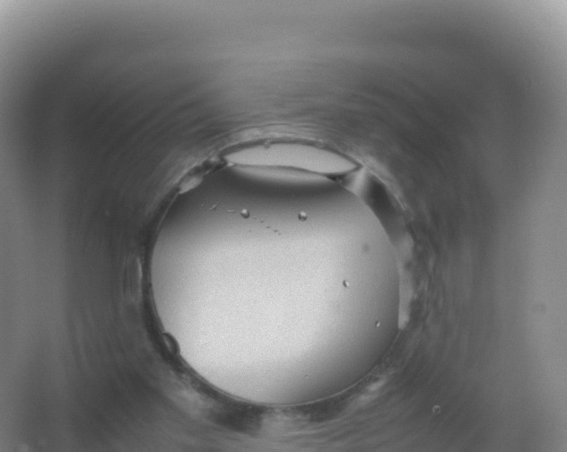 X0000066940109200604142034