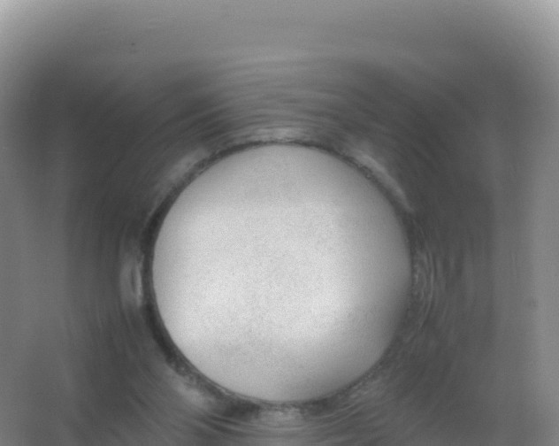 X0000066940110200604142034