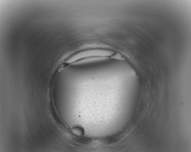 X0000066940111200604142034