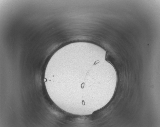 X0000066940112200604142034