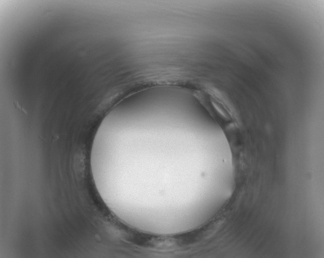 X0000066940113200604142034