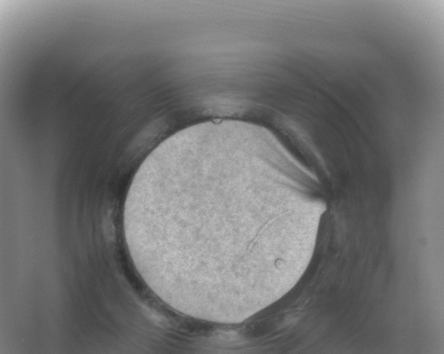 X0000066940114200604142034