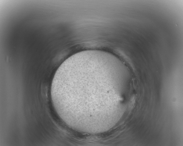 X0000066940115200604142034