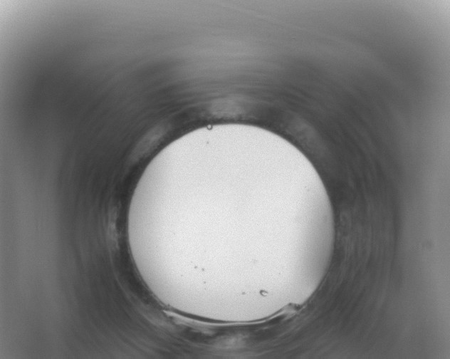 X0000066940116200604142034