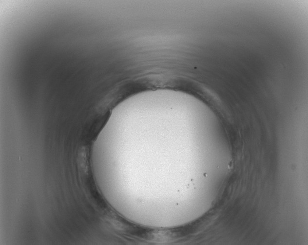 X0000066940121200604142033