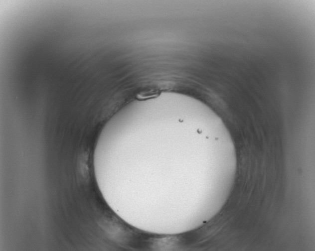 X0000066940122200604142033