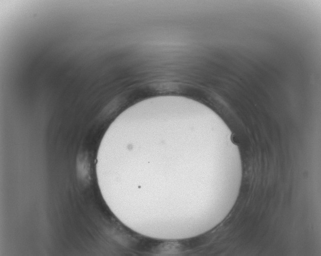 X0000066940124200604142033